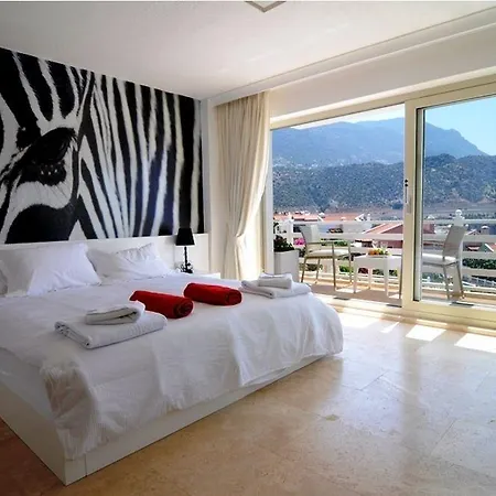 Mini Saray Hotel 2*